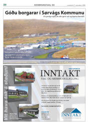 Síða 22