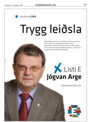 Síða 11