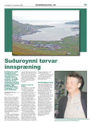 Síða 15
