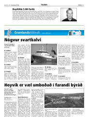 Síða 11