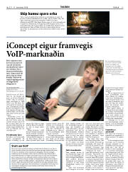 Síða 17