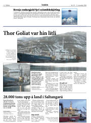 Síða 18