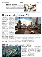 Síða 19