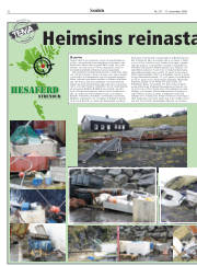 Síða 32