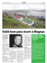 Síða 17