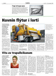 Síða 6