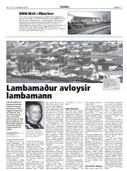 Síða 11