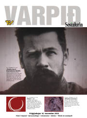 Síða 17