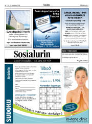 Síða 31