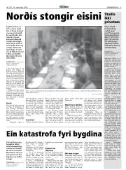 Síða 13