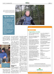Síða 31