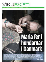 Síða 1