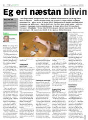 Síða 6