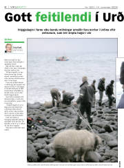 Síða 8