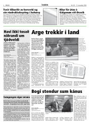 Síða 8