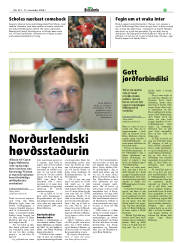 Síða 21