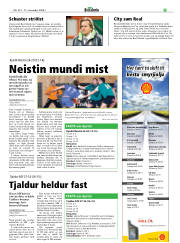 Síða 25