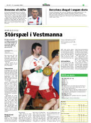 Síða 27