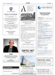 Síða 33