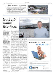 Síða 29