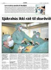 Síða 6