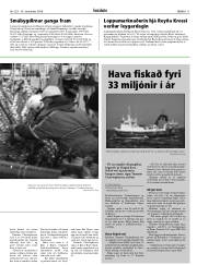 Síða 11