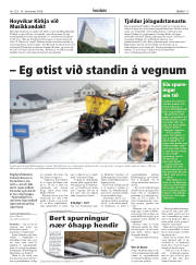 Síða 17