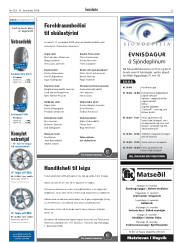 Síða 33