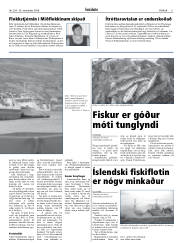 Síða 11