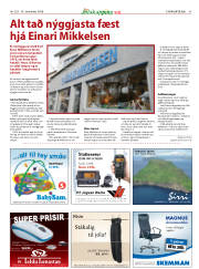 Síða 41