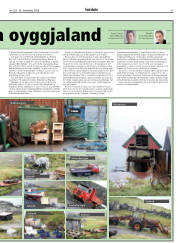 Síða 25