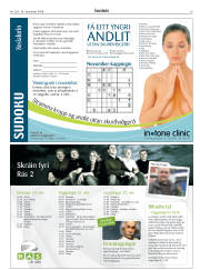 Síða 29