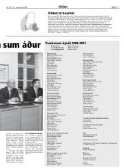Síða 11
