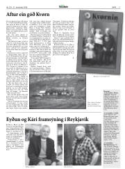 Síða 17