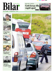 Síða 12