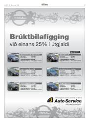 Síða 3