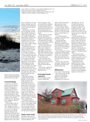 Síða 11