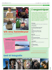 Síða 14
