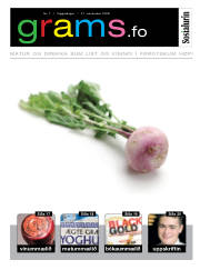 Síða 15
