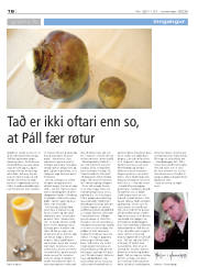 Síða 16