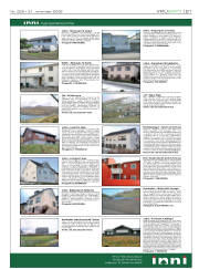 Síða 21