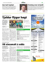 Síða 21