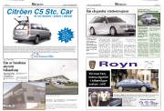 Síða 21