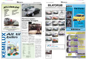 Síða 22