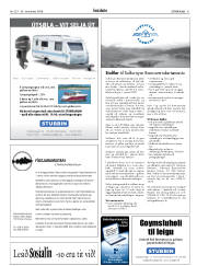 Síða 31