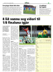 Síða 17
