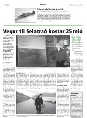 Síða 12