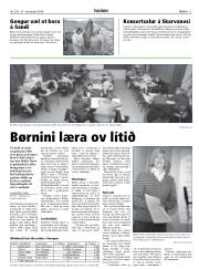 Síða 13