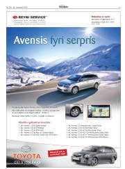 Síða 29