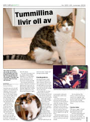 Síða 24